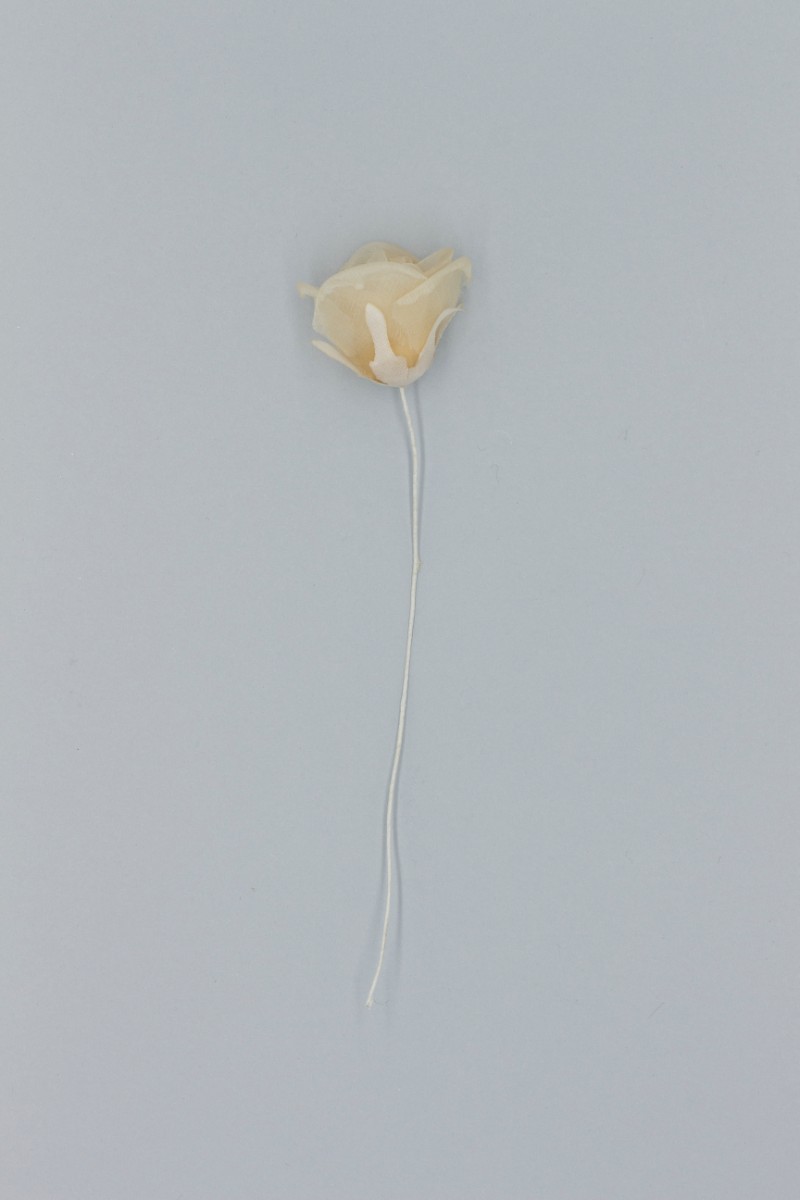 BOCCIOLO APERTO Z1V8041433