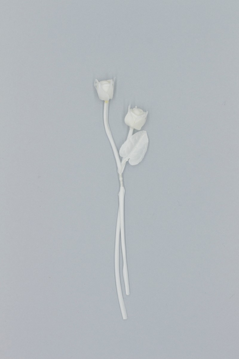 MAZZOLINO DI ROSELLINE Z2V8051010