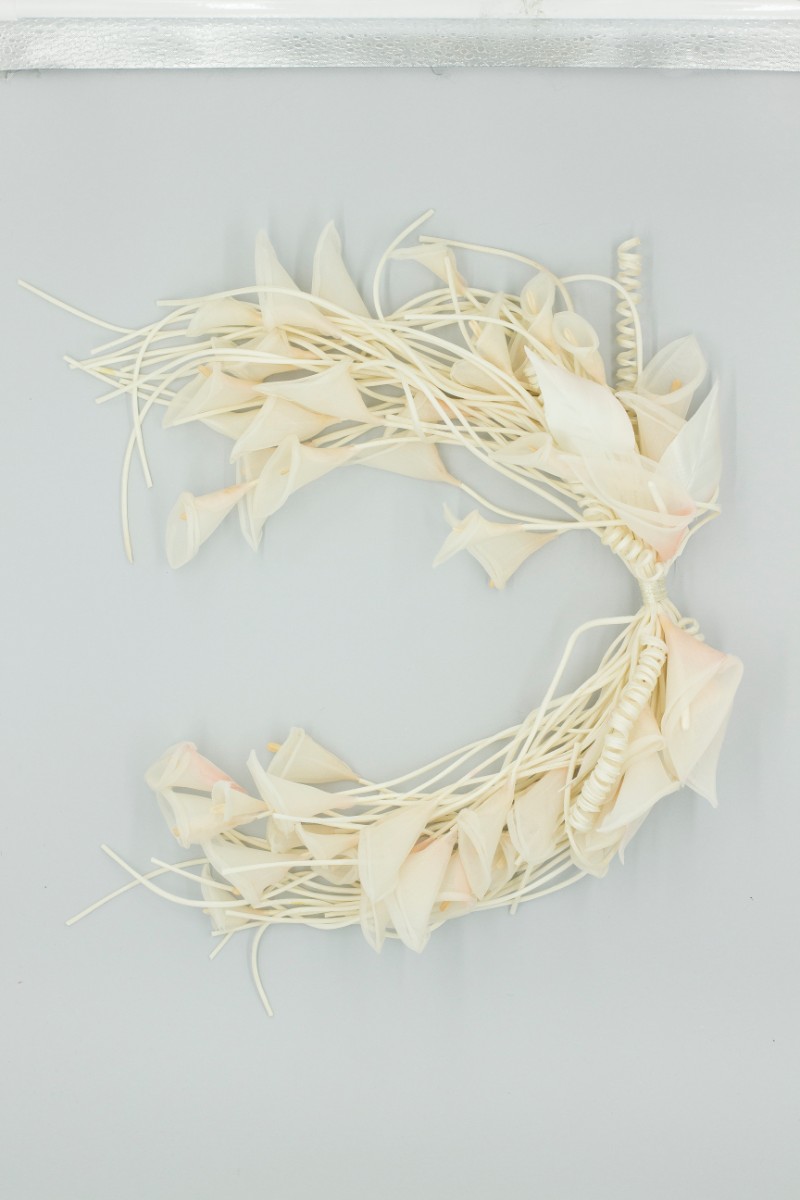 TRALCIO DI CALLE + PENDENTE Z2V80580P