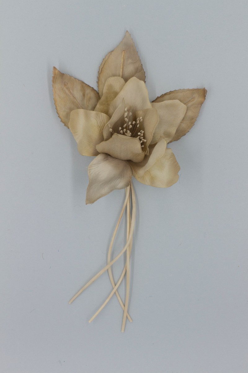 FIORE SINGOLO Z5V80733MA