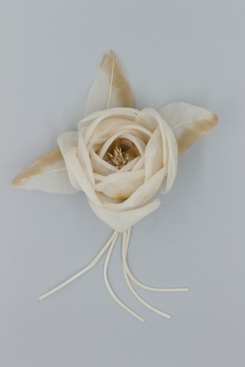 ROSA SINGOLA  CON FOGLIE Z5V80738O