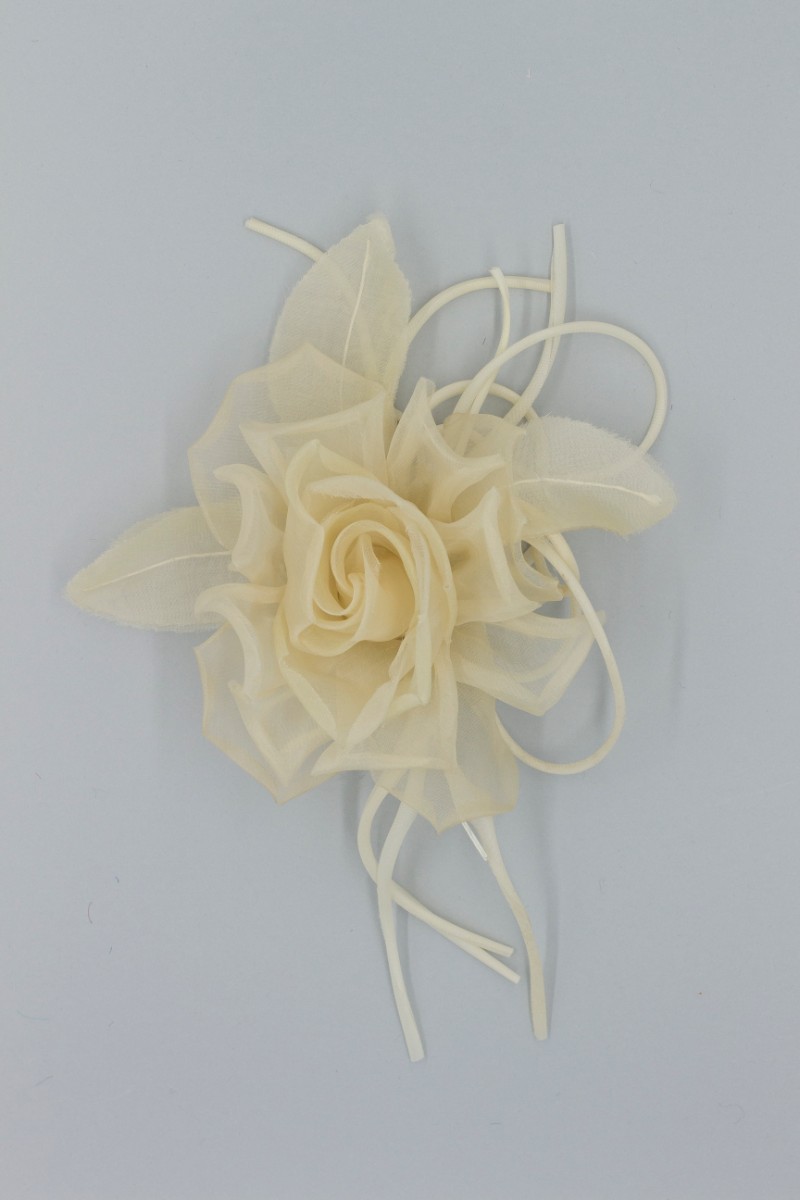 ROSA GRANDE Z7V80002MI