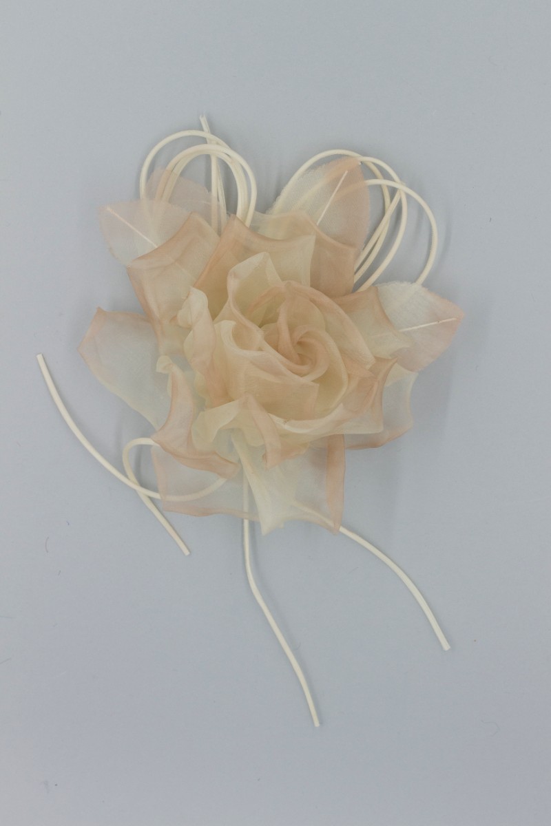 ROSA GRANDE Z7V80002RO