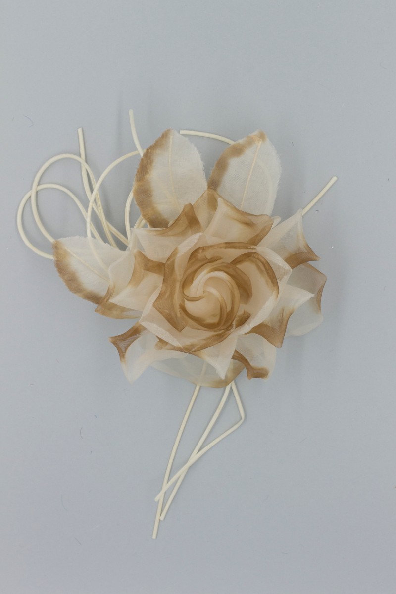 ROSA GRANDE Z7V80002MA