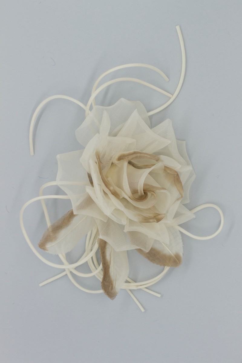 ROSA GRANDE Z7V80002MAR