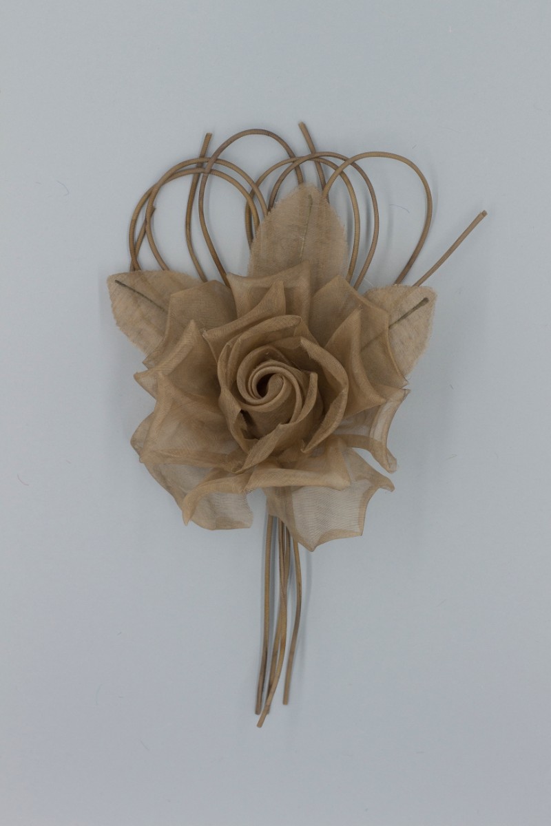 ROSA GRANDE Z7V80002MAR