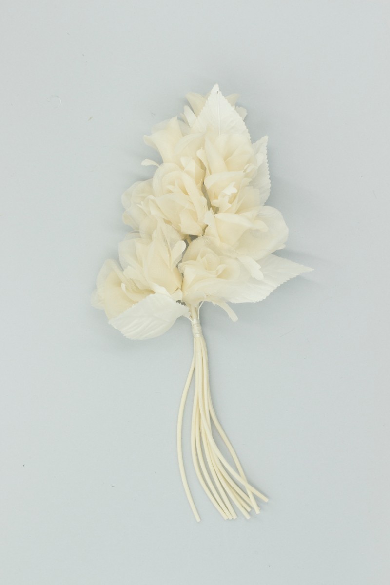 TRALCIO IN RASO Z7V80005BIA