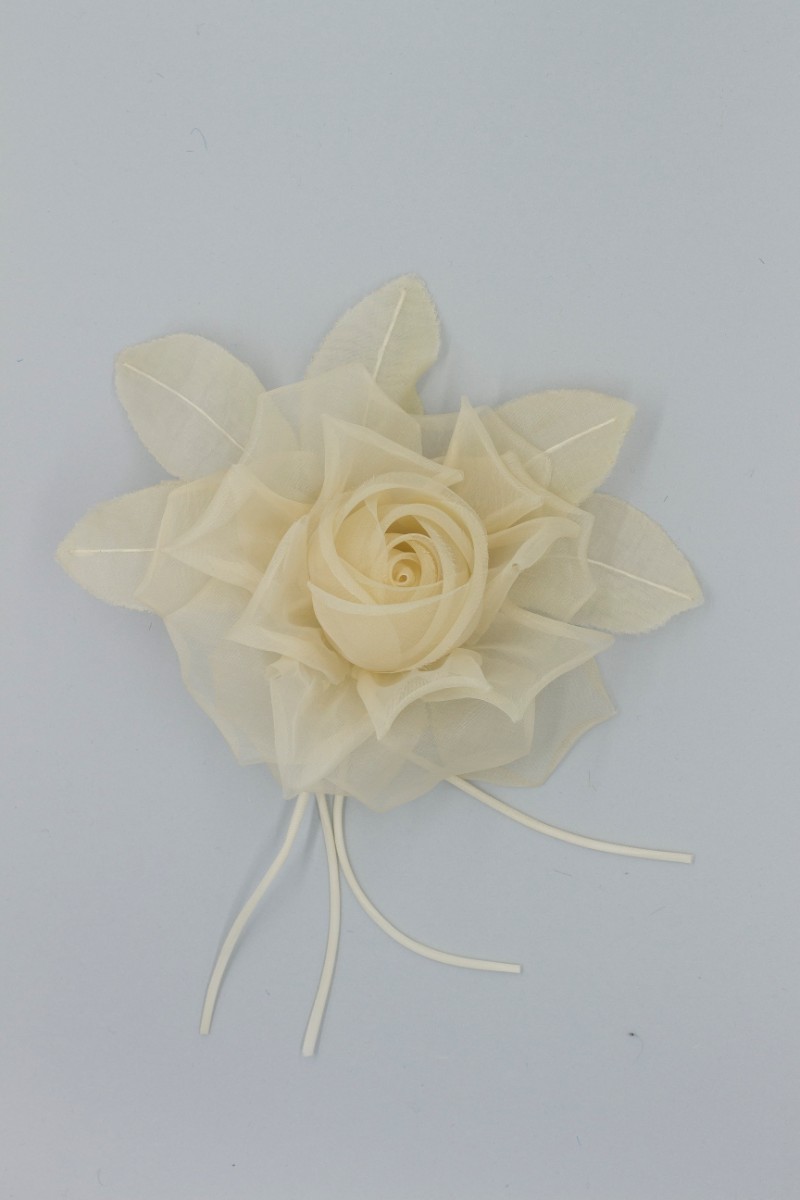 ROSA GRANDE Z7V80014