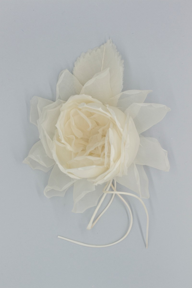 FIORE SINGOLO ROSA GRANDE Z7V80751AV