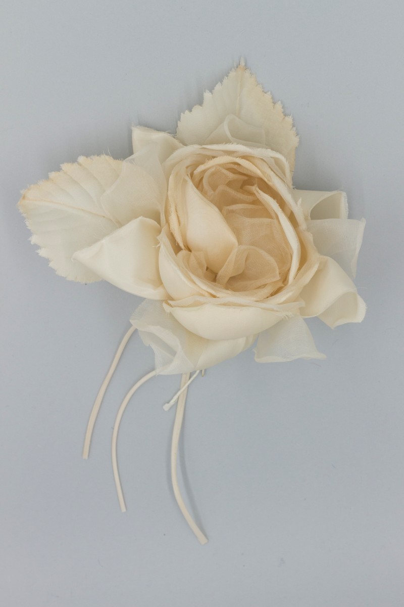 FIORE SINGOLO ROSA GRANDE Z7V80751MO