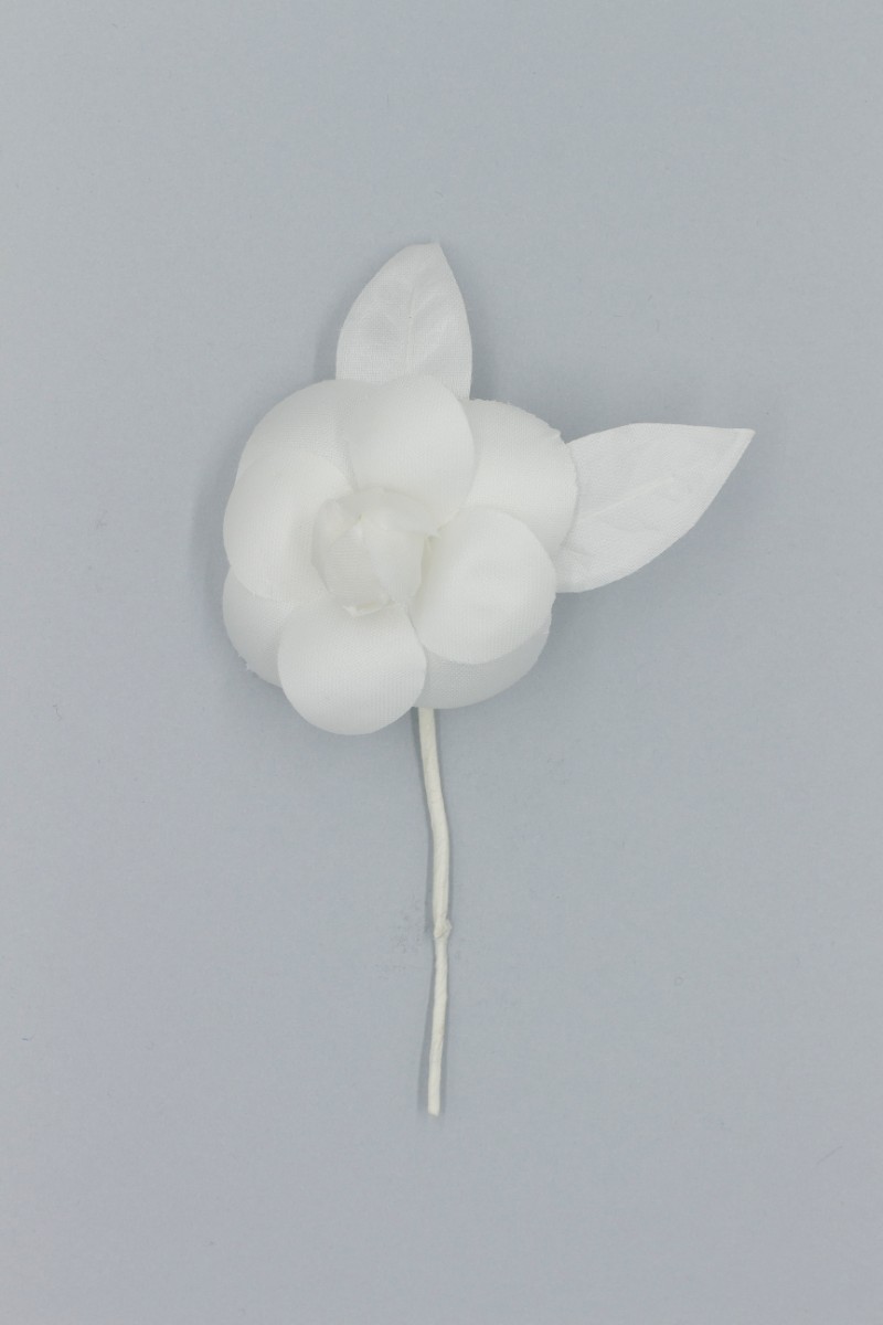 CAMELIA MEDIA Z8V80104B