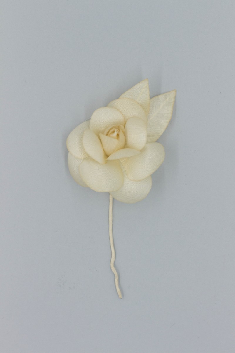 CAMELIA MEDIA Z8V80104MI