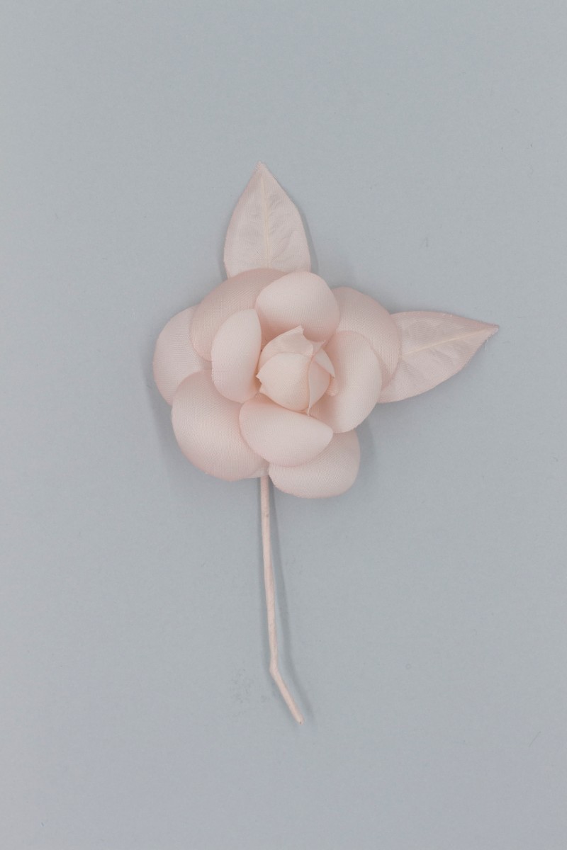 CAMELIA MEDIA Z8V80104R