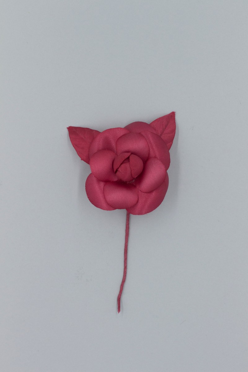 CAMELIA MEDIA Z8V80104RX