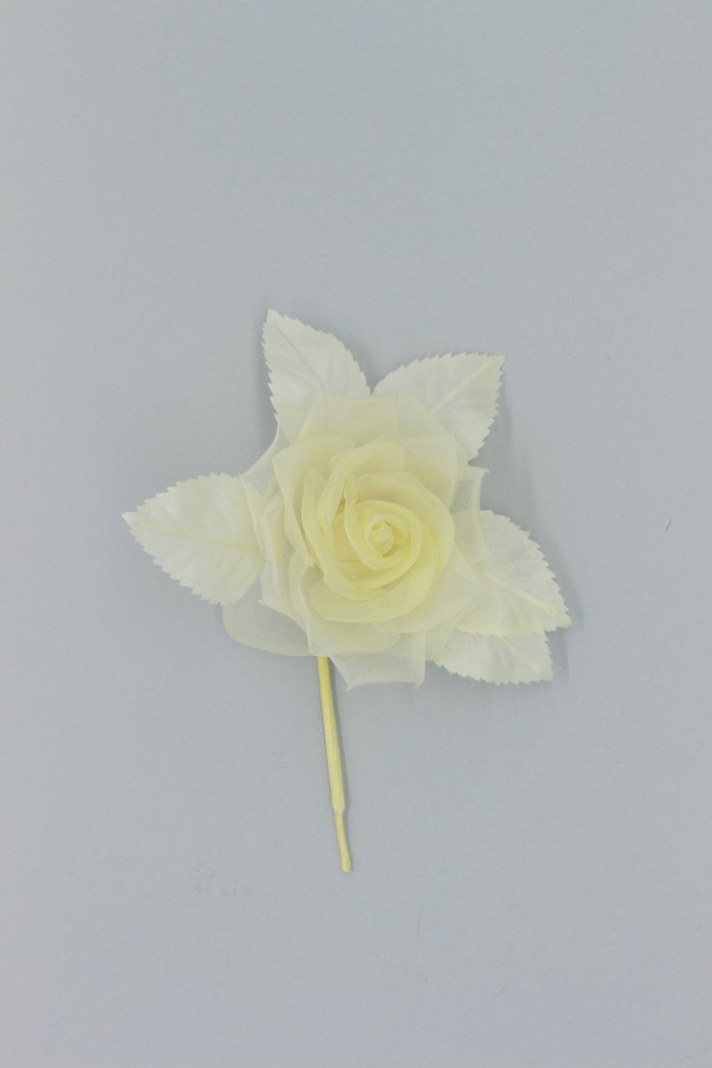 ROSA PICCOLA Z8V80106GI