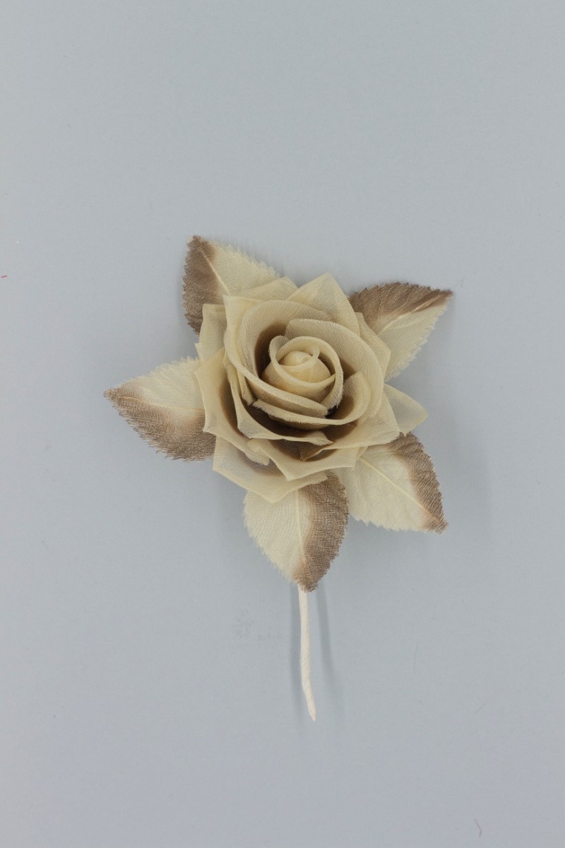 ROSA PICCOLA Z8V80106O