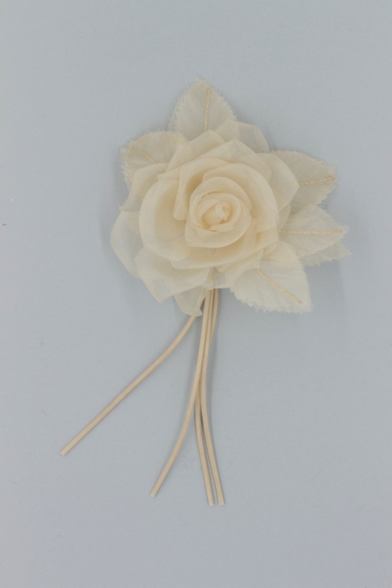 ROSA PICCOLA Z8V80106BE