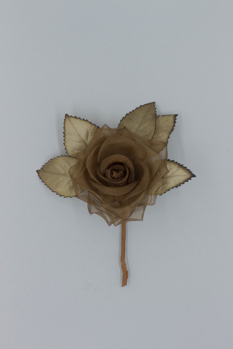 ROSA PICCOLA Z8V80106MA