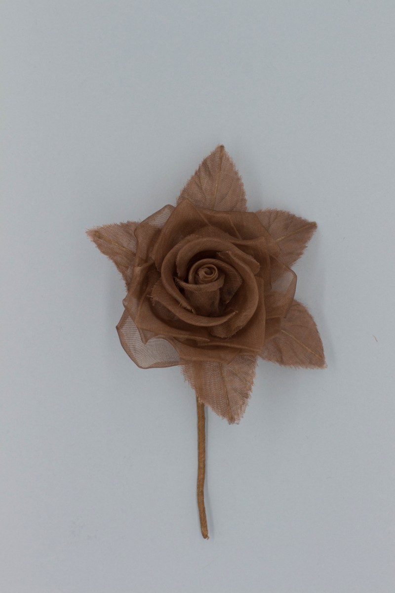 ROSA PICCOLA Z8V80106CA