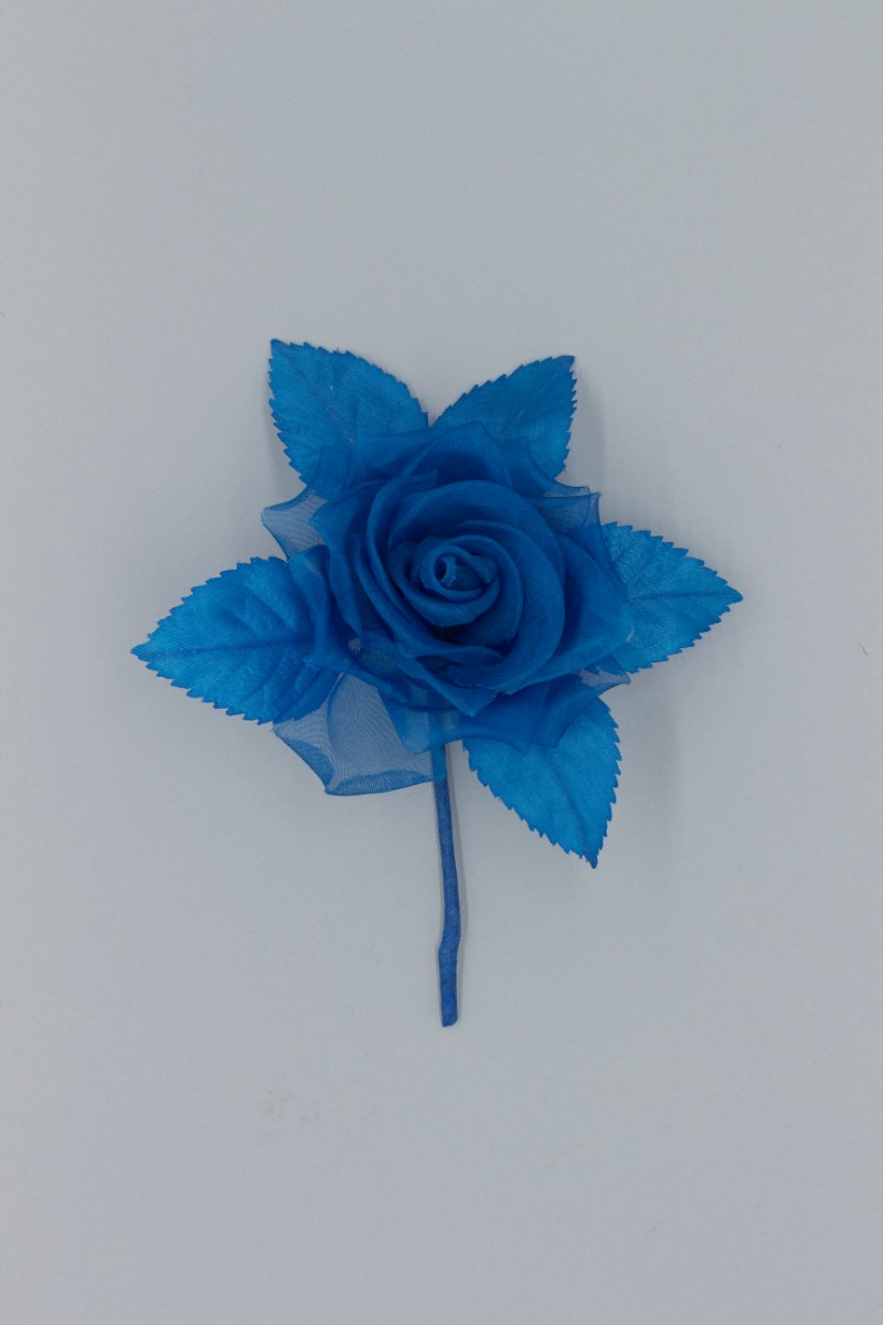 ROSA PICCOLA Z8V80106BL