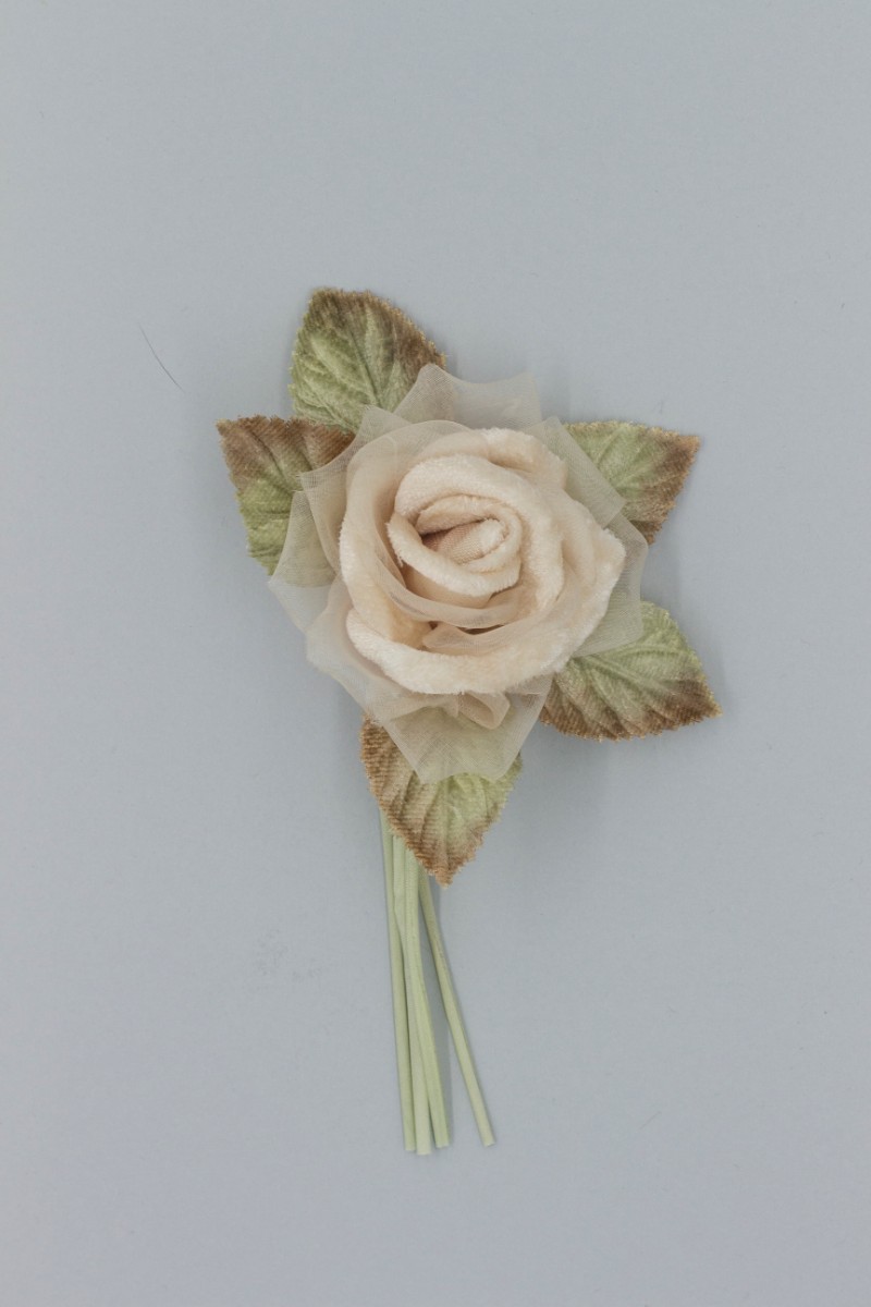 ROSA PICCOLA Z8V80106PE