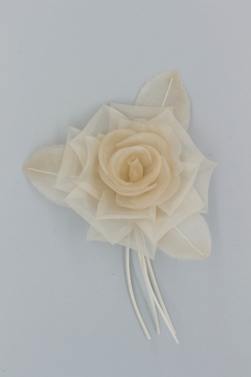 ROSA GRANDE Z8V80108BE