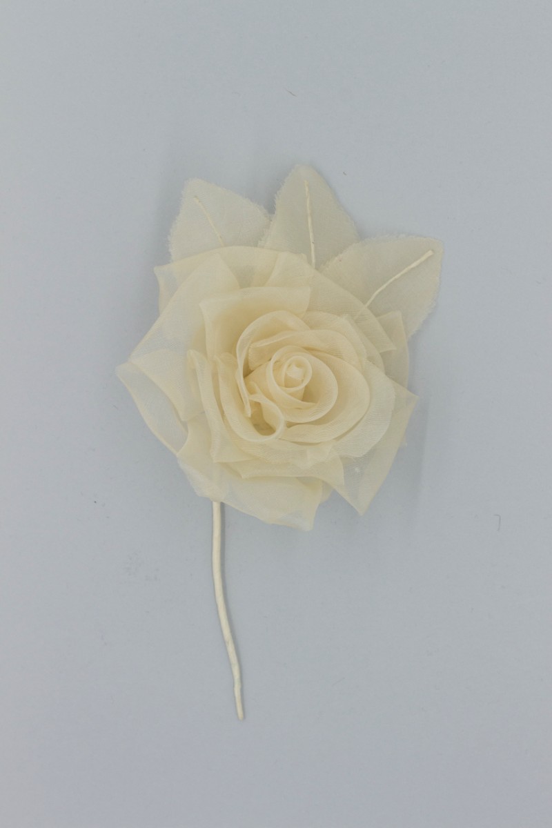 ROSA GRANDE Z8V80108BG