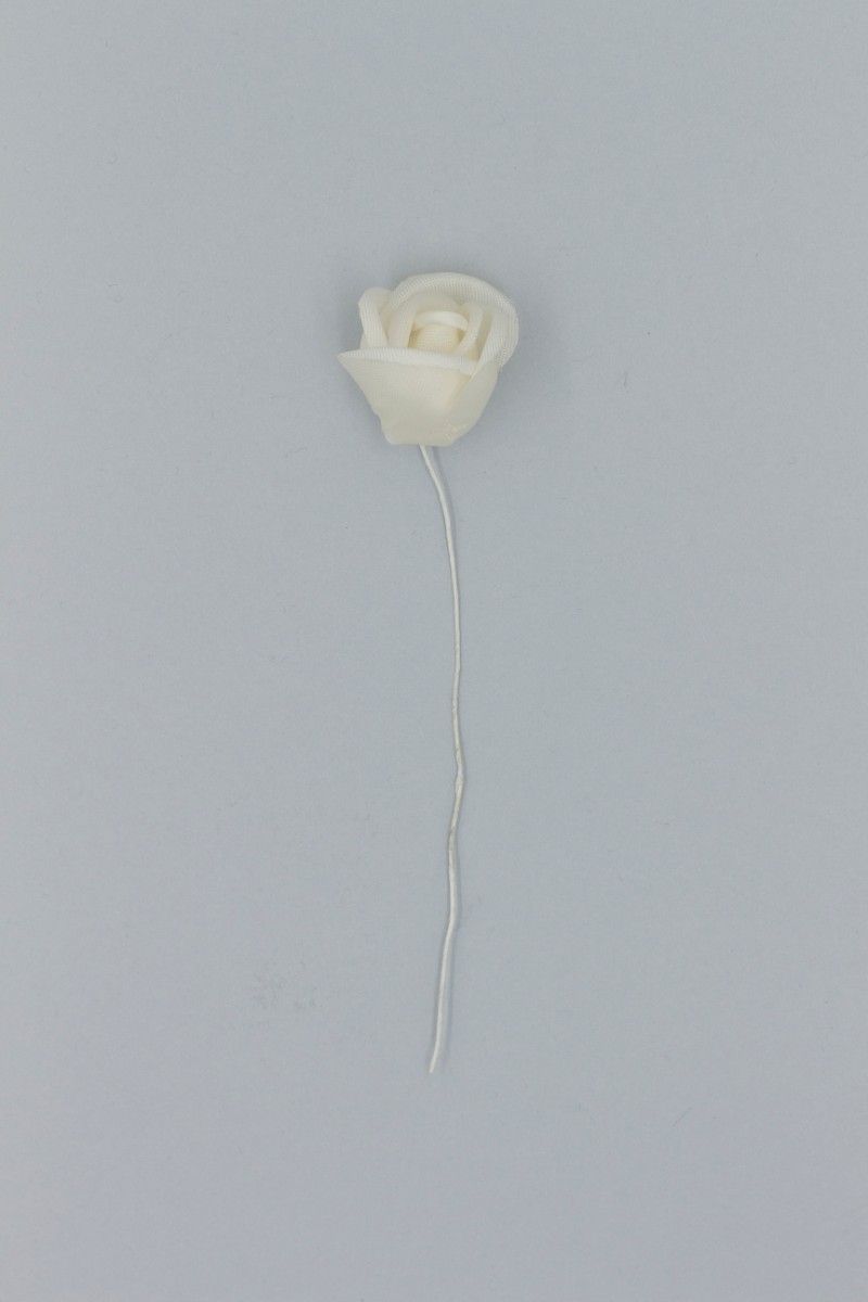 BOCCIOLO RASO-ORGANZA Z8V80116PA