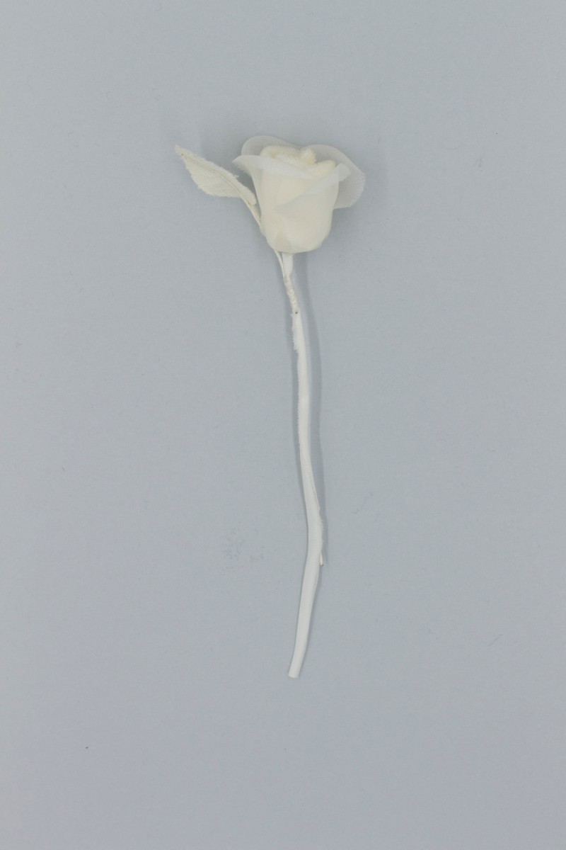 BOCCIOLO RASO-ORGANZA Z8V80116BI